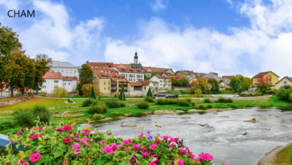 Immobilienmakler Cham